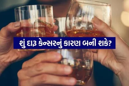Alcohol 0809.jpg.webp