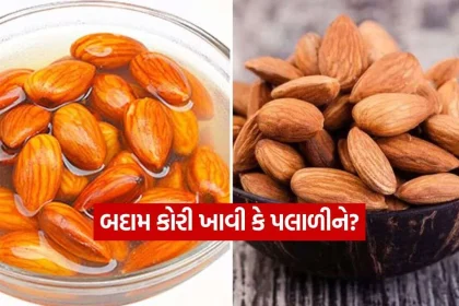 Almond 2809.jpg.webp