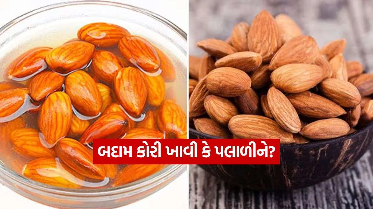 Almond 2809.jpg.webp