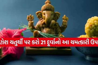 Copy of Satya web temp 39.jpg.webp