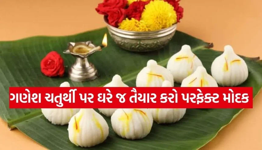 બાપ્પાના ભોગ માટે ઘરે ઝટપટ બનાવો સ્વાદિષ્ટ નારિયેળ-મિલ્ક પાઉડર મોદક, જાણો સરળ રેસીપી! 1 Copy of Satya web temp 40.jpg.webp
