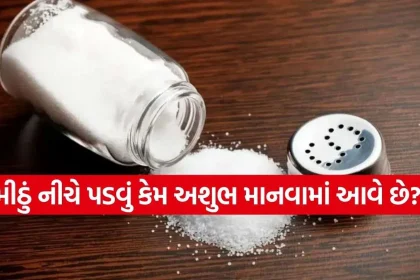 Copy of Satya web temp 51.jpg.webp