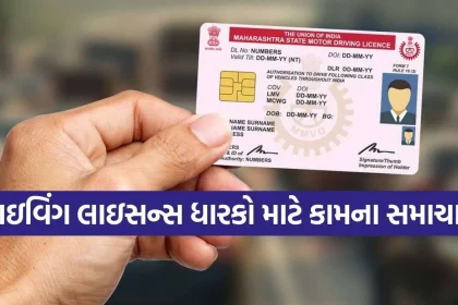 Driving License.jpg.webp