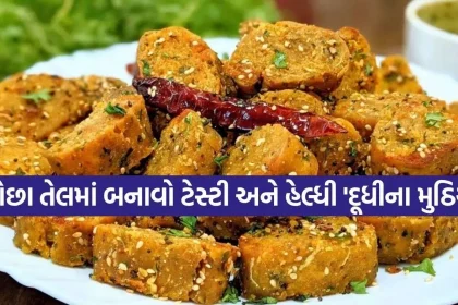 Dudhi Muthiya 2.jpg.webp