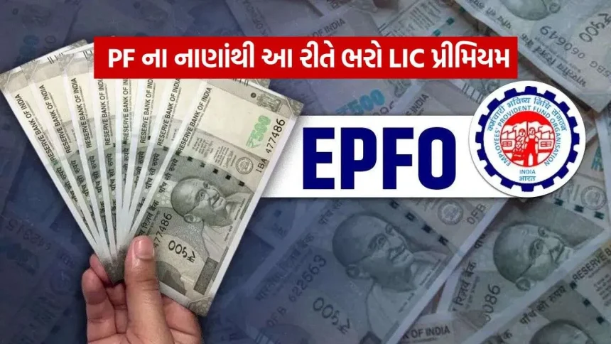 શું PFના પૈસાથી LIC પ્રીમિયમ ભરી શકાય? 1 EPFO 1909 1.jpg.webp
