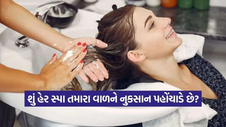 શું હેર સ્પા કરાવવાથી ખરેખર વાળ ખરતા અટકે છે? 1 Hair Spa 0309.jpg.webp