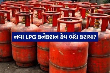 LPG 2609 1.jpg.webp