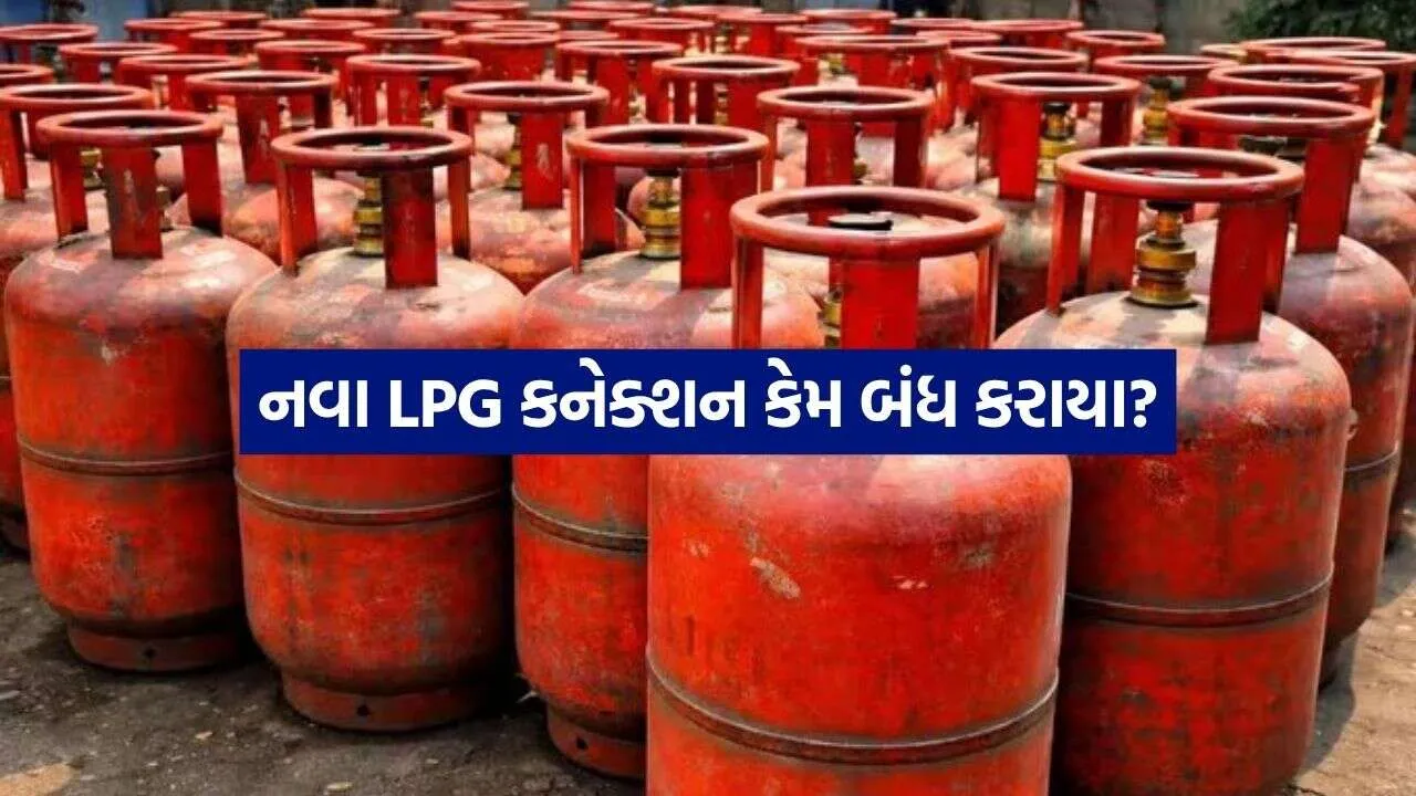 LPG 2609 1.jpg.webp