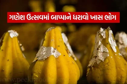 Modak 1009.jpg.webp