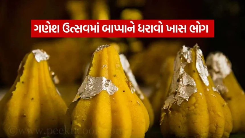 Modak 1009.jpg.webp