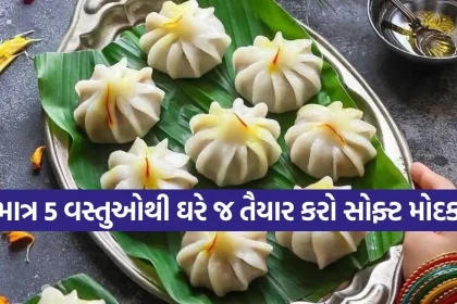 Modak 2.jpg.webp