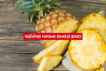 PINEPPLE.jpg.webp