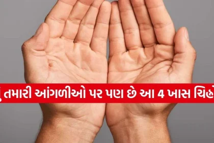 Palmistry.jpg.webp