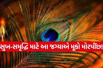Peacock Feather.jpg.webp