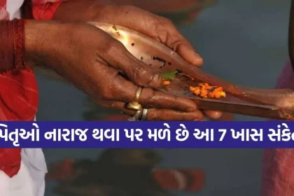 Pitru Dosha.jpg.webp