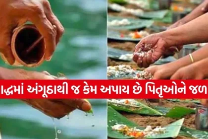 Pitru Paksha 2.jpg.webp