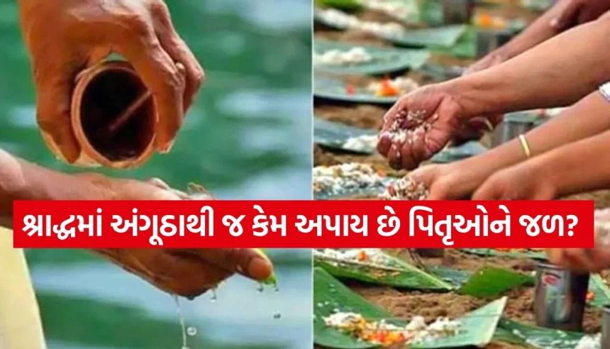 શ્રાદ્ધ દરમિયાન પિતૃઓને અંગૂઠાથી જ કેમ આપવામાં આવે છે જળ? જાણો તેનું અદ્ભુત રહસ્ય 1 Pitru Paksha 2.jpg.webp