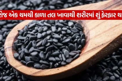 Sesame Seeds 0709.jpg.webp