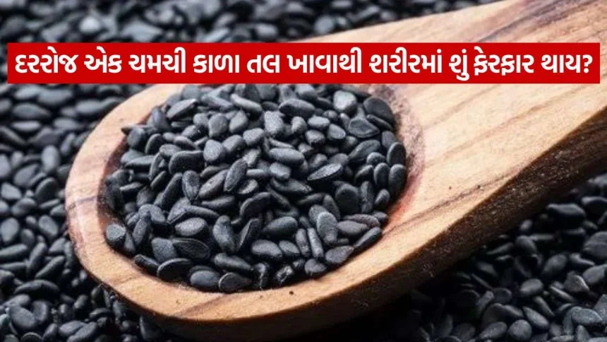 નાના બીજ પણ ગુણોનો ભંડાર: હૃદય, હાડકાં અને ચામડી માટે કાળા તલ શા માટે શ્રેષ્ઠ છે? 1 Sesame Seeds 0709.jpg.webp