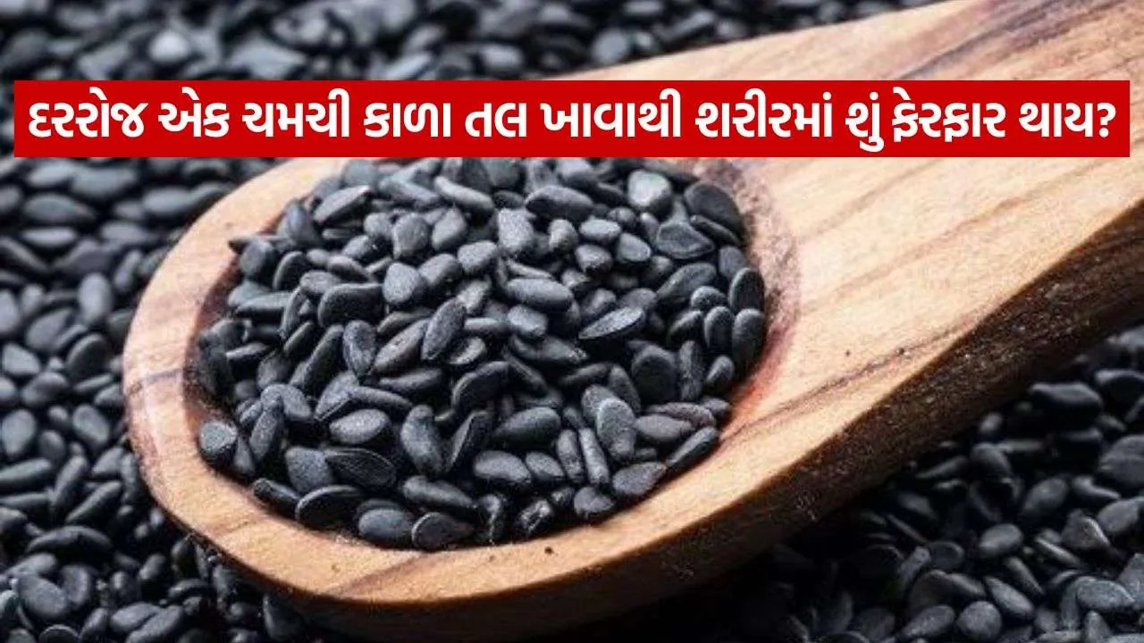 Sesame Seeds 0709.jpg.webp