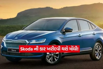 Skoda car2.jpg.webp