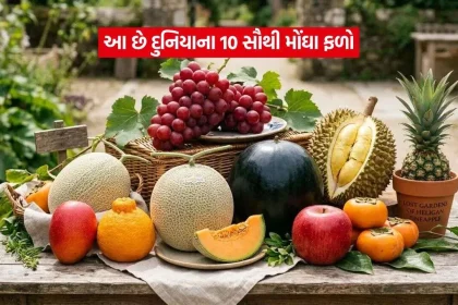 Top 10 Most Expensive Fruits1.jpg.webp