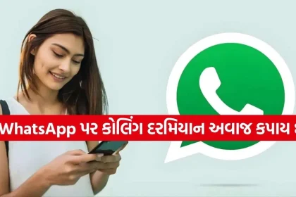 WhatsApp Call.jpg.webp