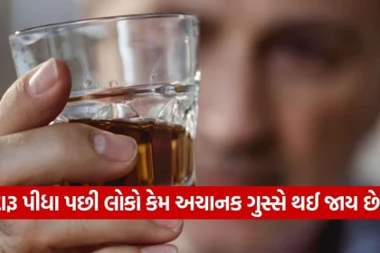 alcohol 1209.jpg.webp