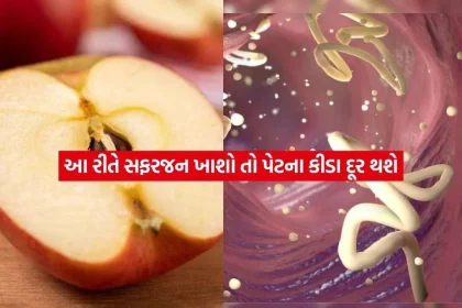 apple.jpg.webp
