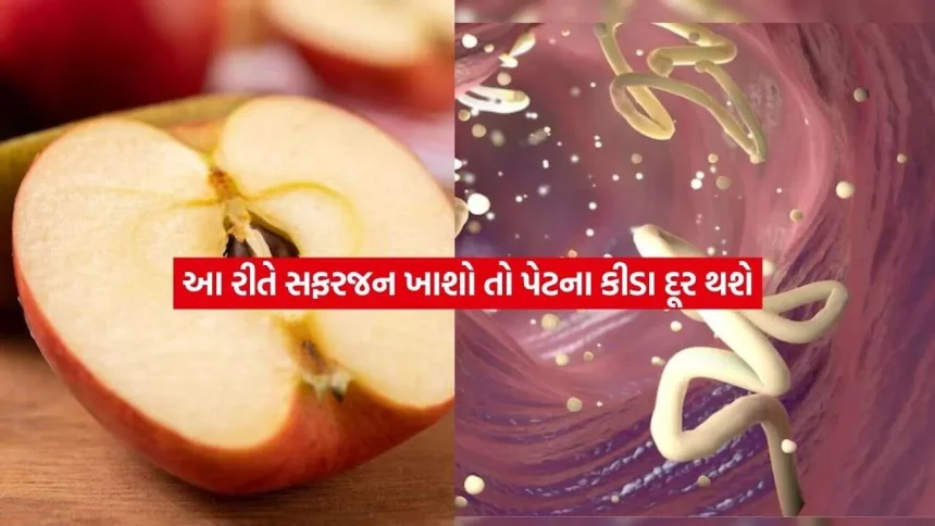 સફરજન કેવી રીતે ખાવું? પેટના કીડા સહિત કેટલીક સમસ્યાઓમાં રાહત માટે જાણો યોગ્ય રીત 1 apple.jpg.webp