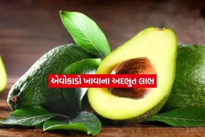 avocadu.jpg.webp