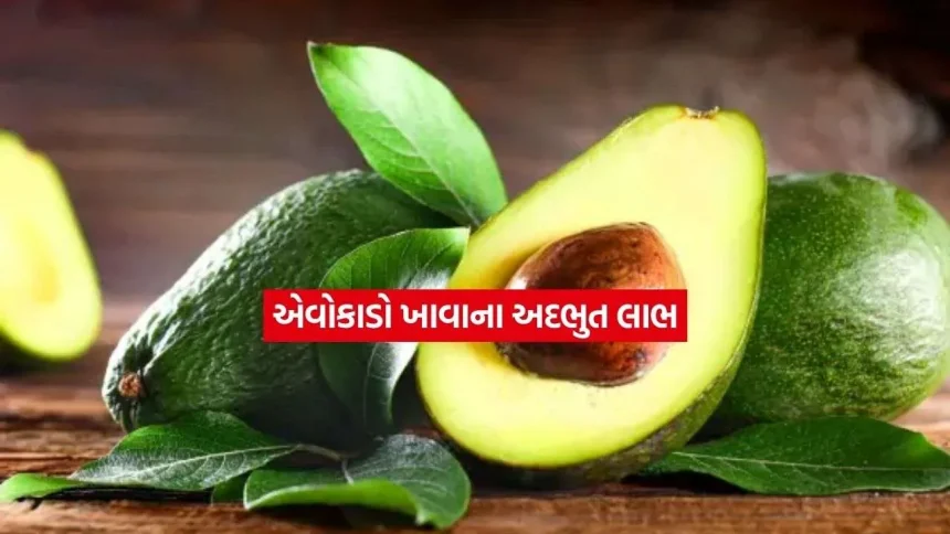avocadu.jpg.webp