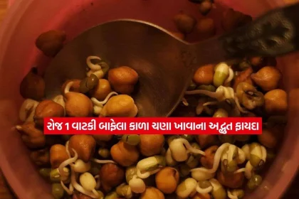 chanA2.jpg.webp