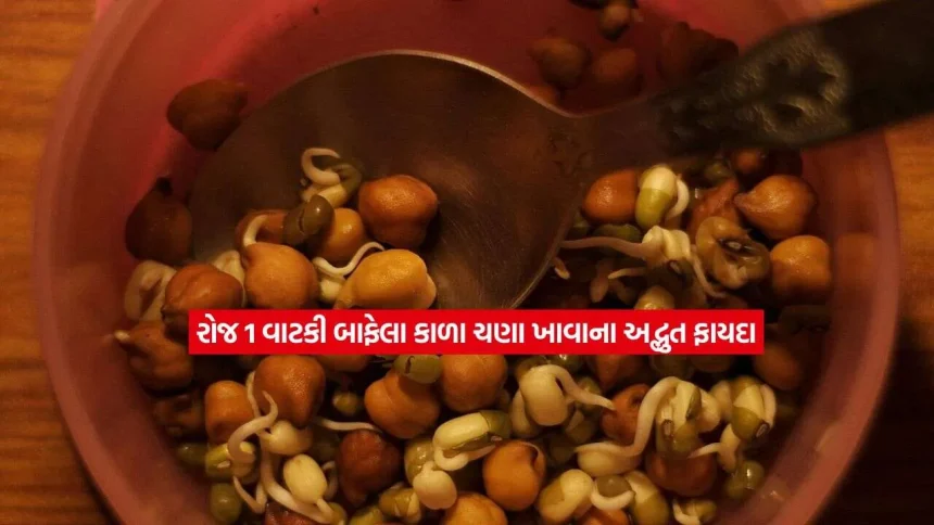 ફિટનેસ માટે સુપરફૂડ! દરરોજ બાફેલા કાળા ચણા ખાશો તો શરીર રહેશે રોગમુક્ત, જાણો યોગ્ય રીત 1 chanA2.jpg.webp