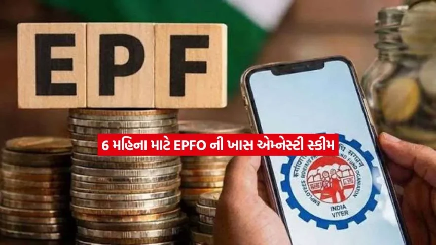 EPFO ની મોટી યોજના જાહેર! માત્ર 6 મહિના માટે મળશે આ ખાસ સુવિધા, જાણો કોને થશે મોટો ફાયદો 1 epfo.jpg.webp