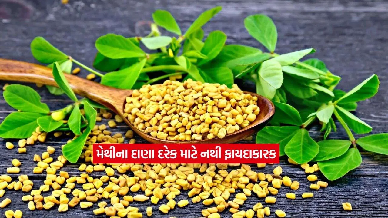 fenugreek seeds2.jpg.webp