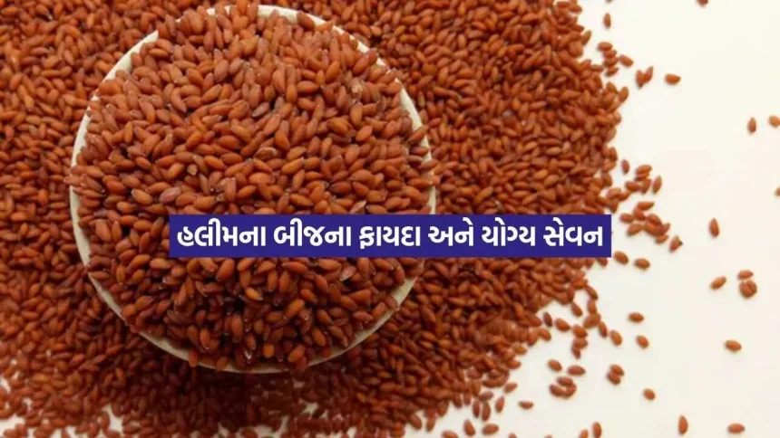 હલીમના બીજને ડાયટમાં કેવી રીતે સામેલ કરવા? જાણો યોગ્ય રીત અને સંભવિત ફાયદા 1 halim.jpg.webp