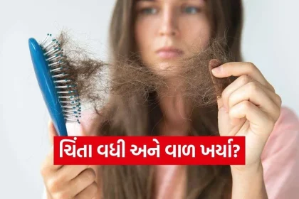 iNDIA 2026 09 01T122046.076.jpg.webp