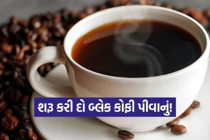 iNDIA 2026 09 01T122545.060.jpg.webp