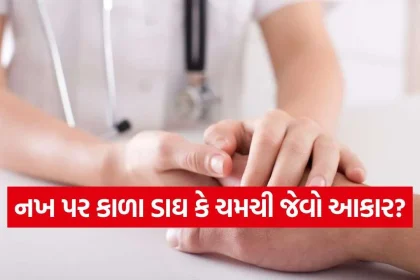 iNDIA 2026 09 02T112939.247.jpg.webp