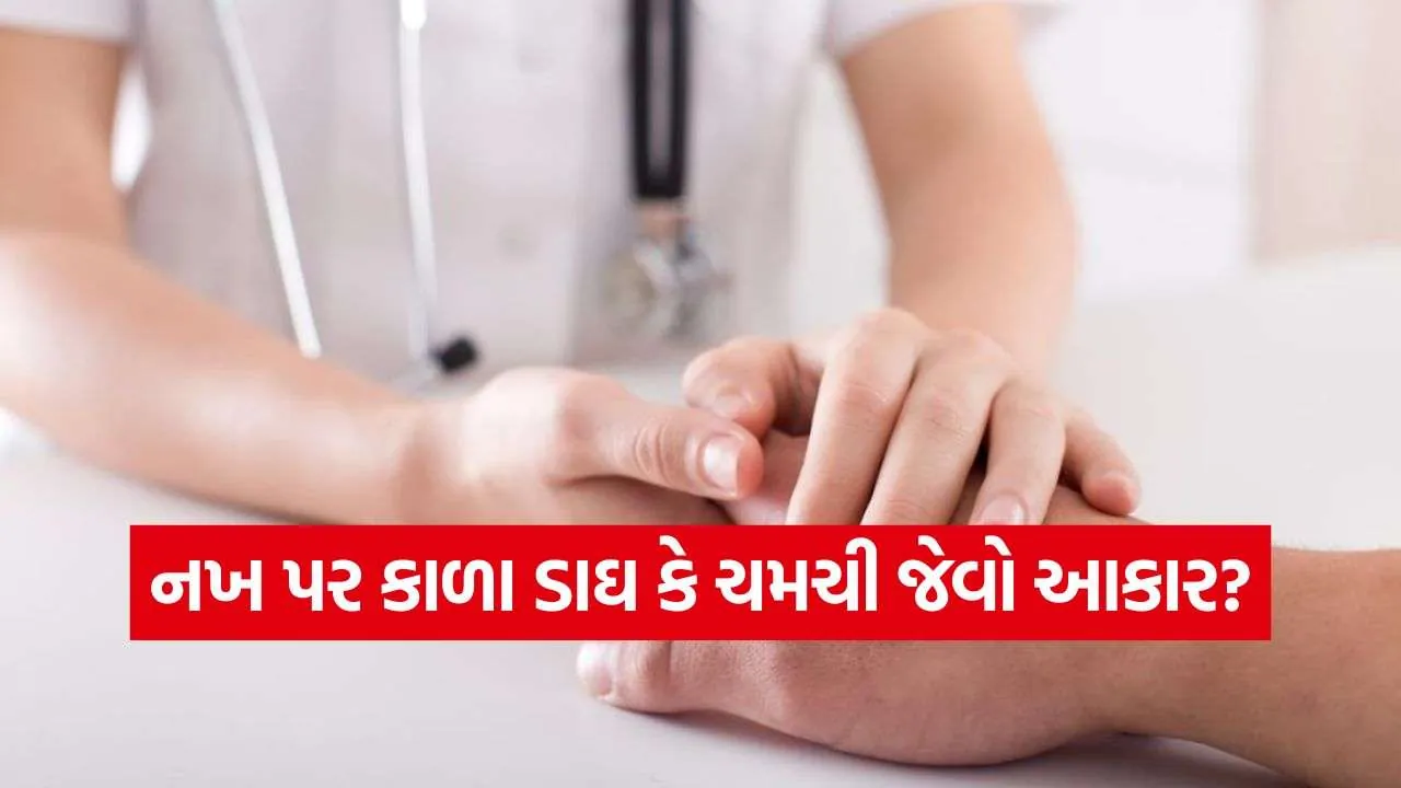 iNDIA 2026 09 02T112939.247.jpg.webp