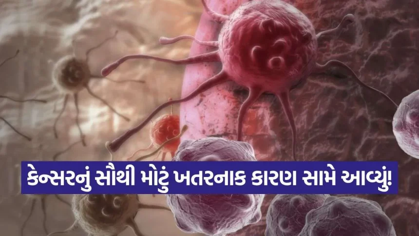 કેન્સરનું સૌથી મોટું ખતરનાક પરિબળ સામે આવ્યું – અને તમે તેનાથી બચી શકતા નથી 1 iNDIA 2026 09 07T121846.310.jpg.webp