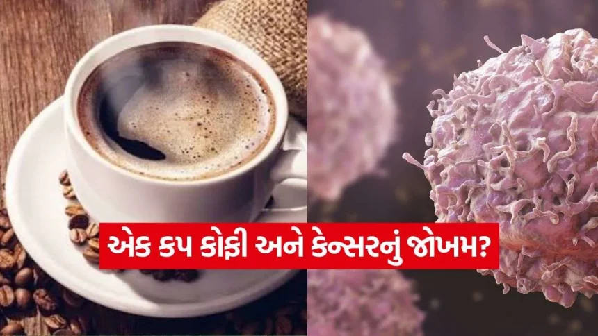 શું સવારનો એક કપ કોફી કેન્સરનું જોખમ વધારે છે? વૈજ્ઞાનિક સંશોધનો અને સત્ય 1 iNDIA 2026 09 08T095039.107.jpg.webp