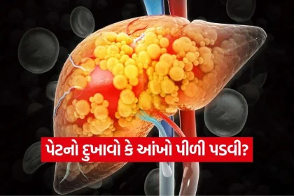 iNDIA 2026 09 09T114038.860.jpg.webp