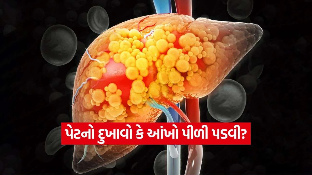 iNDIA 2026 09 09T114038.860.jpg.webp