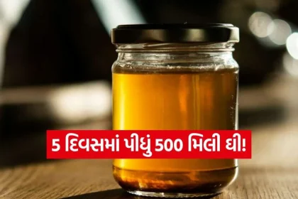 iNDIA 2026 09 24T232653.124.jpg.webp