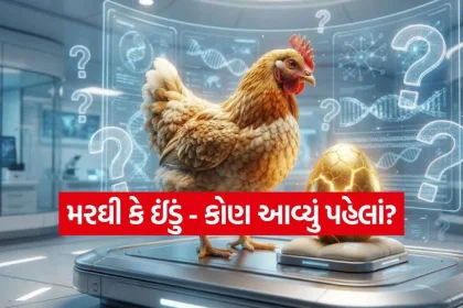 iNDIA 2026 09 26T000155.857.jpg.webp