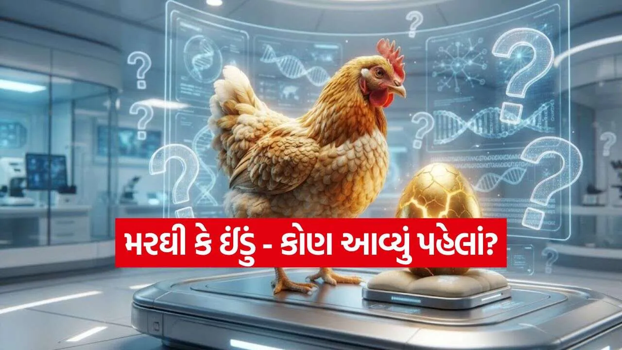 iNDIA 2026 09 26T000155.857.jpg.webp