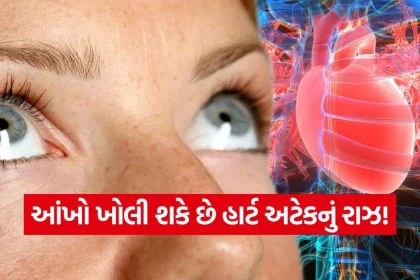 iNDIA 2026 09 30T101358.169.jpg.webp