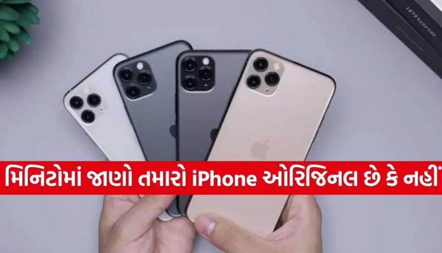 iPhone 2.jpg.webp